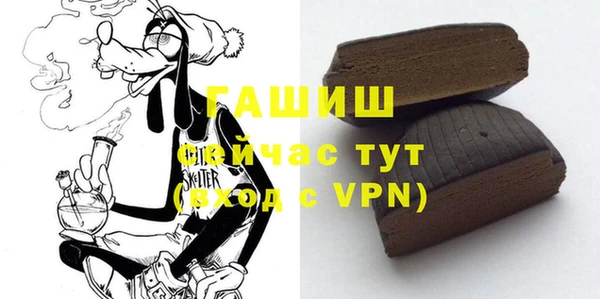 молекула духа Снежинск