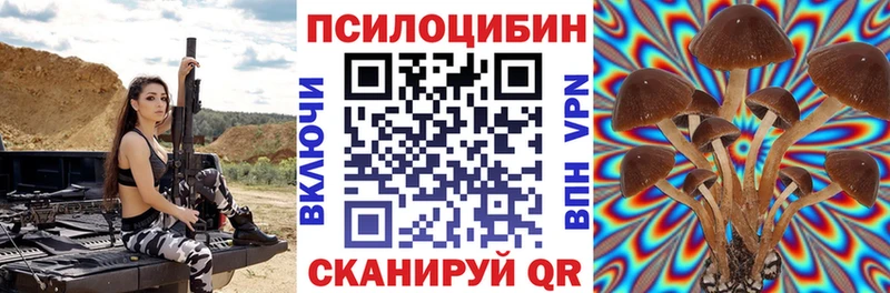 OMG зеркало Алексеевка Галлюциногенные грибы ЛСД