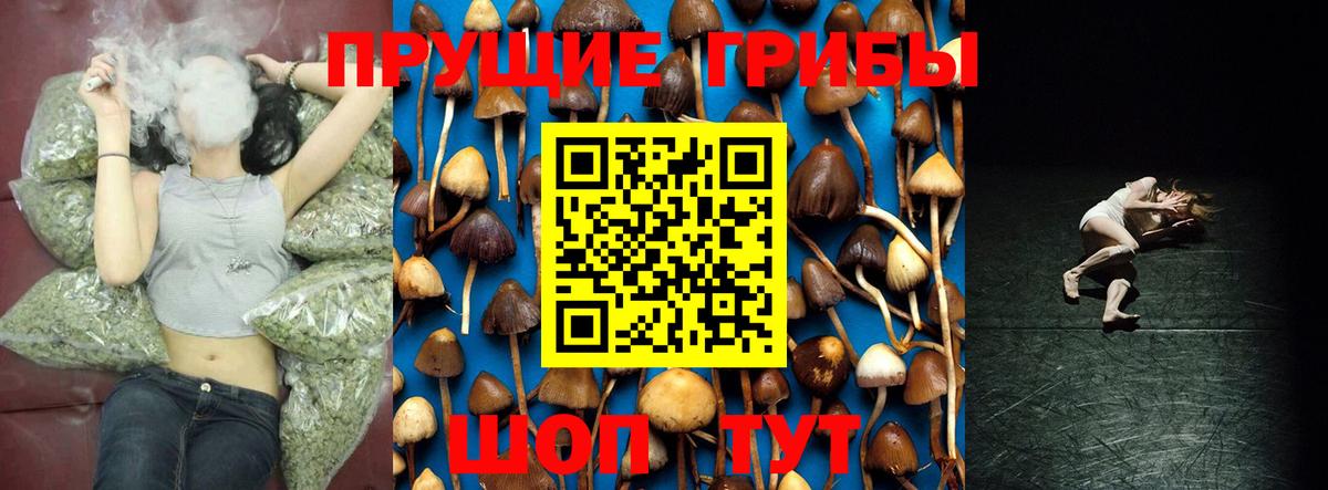 Галлюциногенные грибы мухоморы Алексеевка
