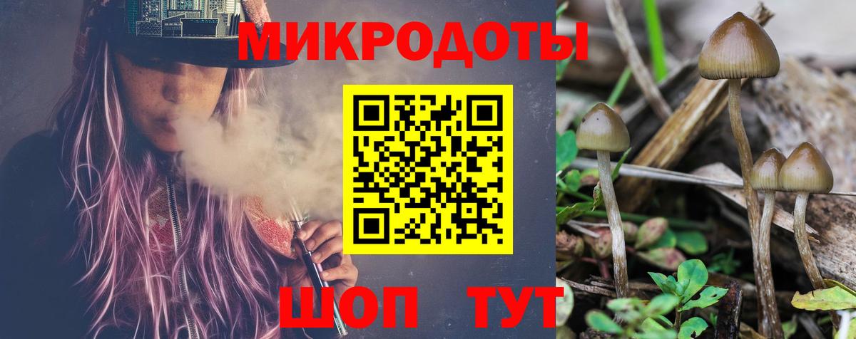 Галлюциногенные грибы прущие грибы  Вход с VPN  Алексеевка  Псилоцибиновые грибы MAGIC MUSHROOMS 